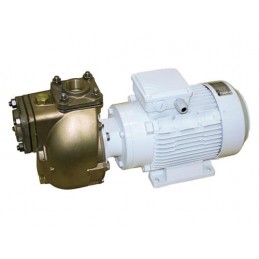 CEM Bronze Pumpe am 40-4t 400v