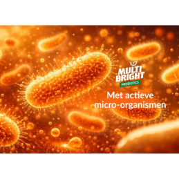 MULTIBRIGHT PROBIOTICS MULTI-REINIGER 1 L